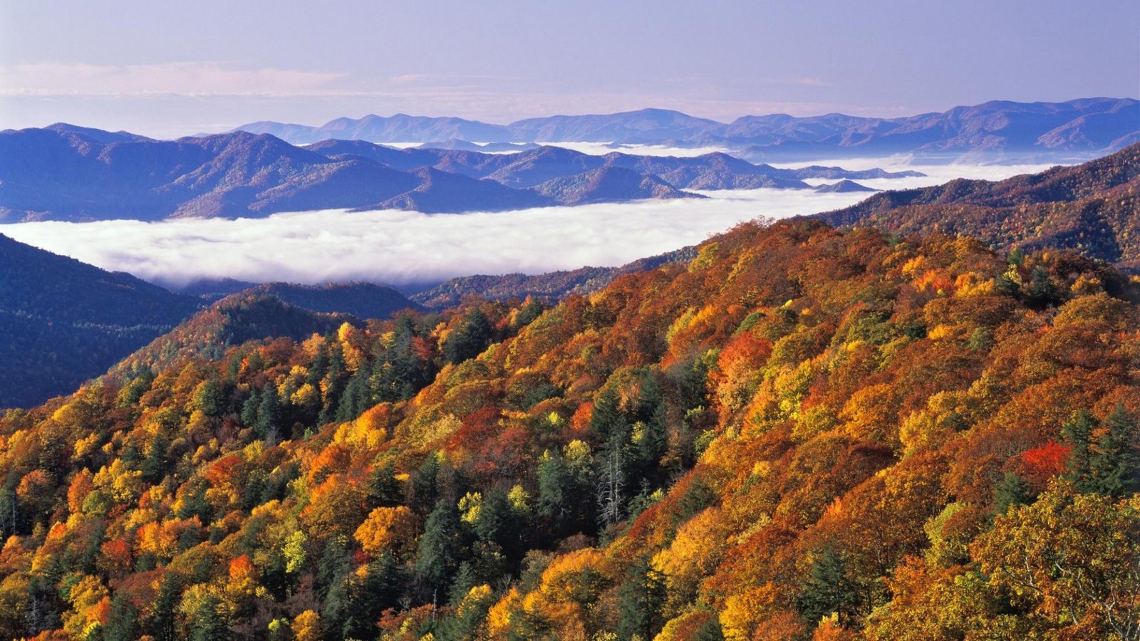 Обои деревья, горы, лес, пейзаж, осень, great smoky mountains national park, trees, mountains, forest, landscape, autumn разрешение 1920x1080 Загрузить