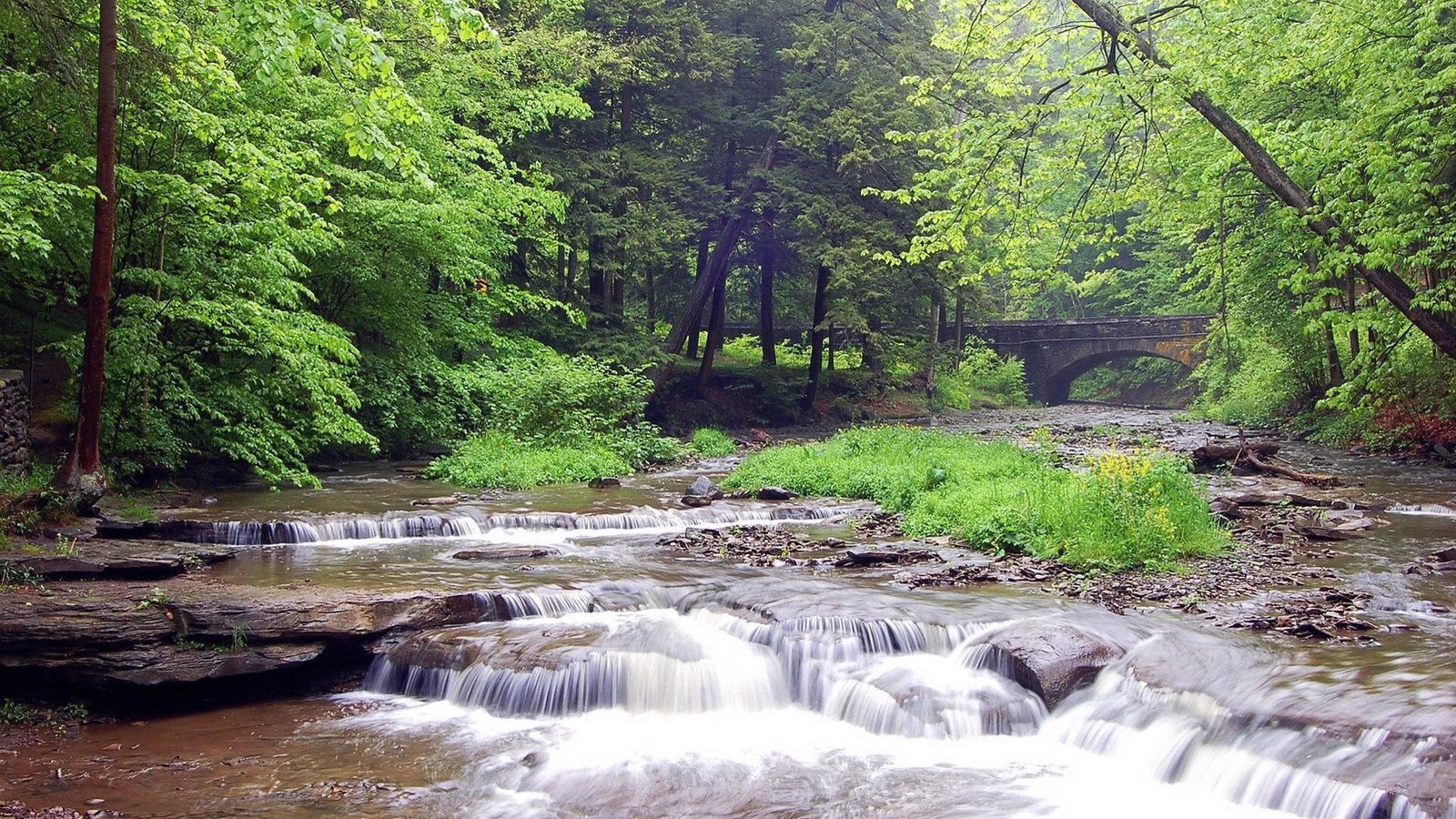 Обои река, камни, лес, мост, river, stones, forest, bridge разрешение 1920x1080 Загрузить