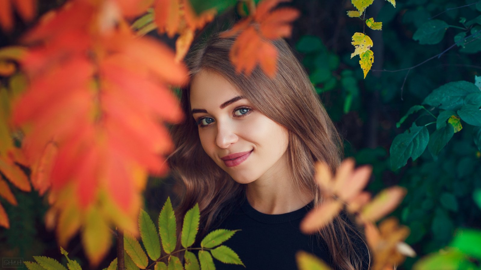 Обои листья, девушка, настроение, улыбка, взгляд, осень, лицо, leaves, girl, mood, smile, look, autumn, face разрешение 2112x1188 Загрузить