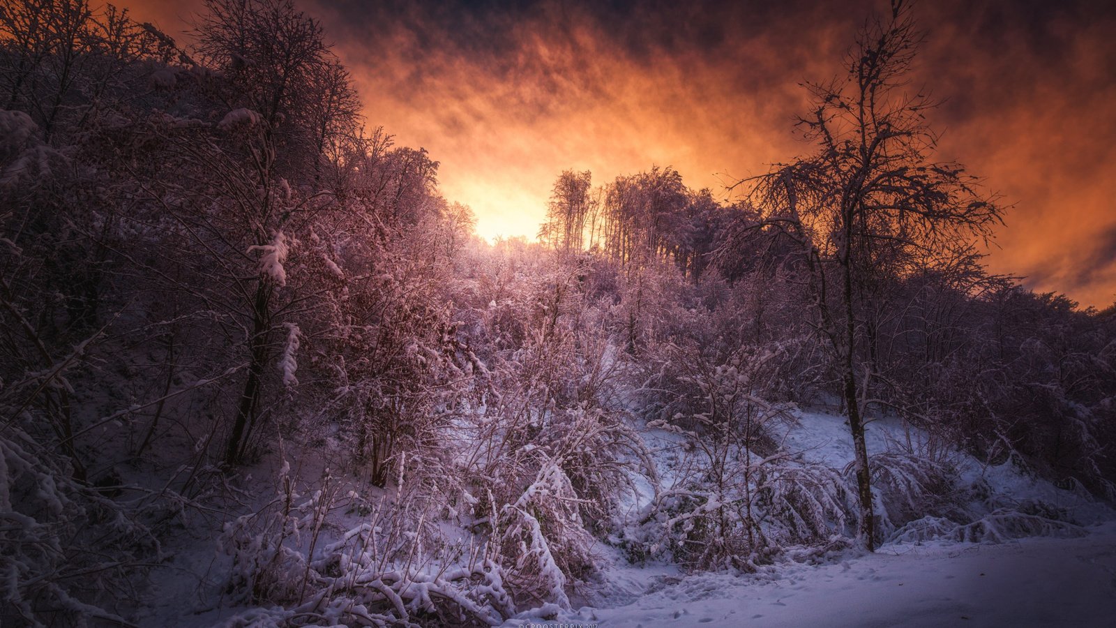 Обои лес, закат, зима, forest, sunset, winter разрешение 1920x1080 Загрузить