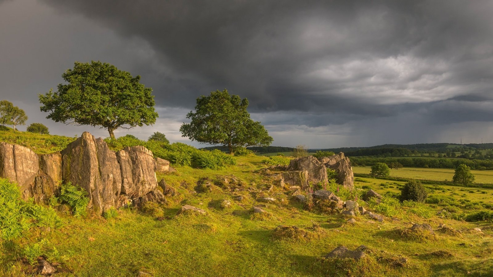 Обои деревья, англия, холм, луга, beacon hill, гэмпшир, burghclere, trees, england, hill, meadows, hampshire разрешение 2047x1096 Загрузить