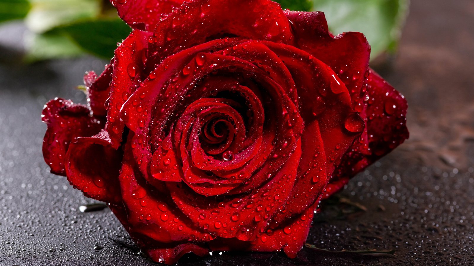 Обои цветок, капли, роза, красный, бутон, крупный план, мокрая, боке, flower, drops, rose, red, bud, close-up, wet, bokeh разрешение 2112x1188 Загрузить