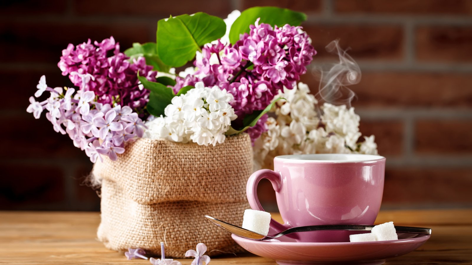 Обои кофе, букет, чашка, сирень, coffee, bouquet, cup, lilac разрешение 2112x1188 Загрузить