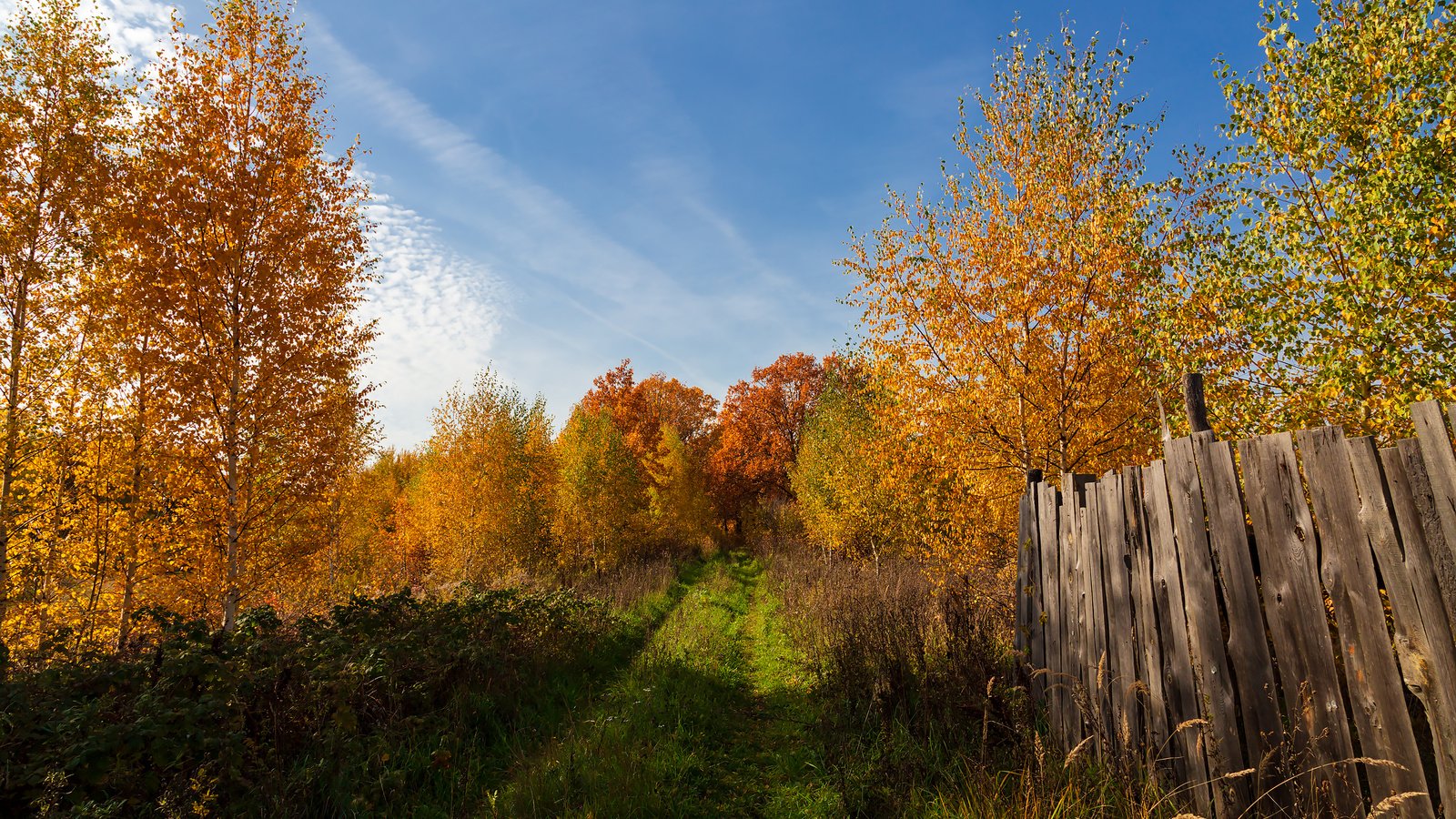 Обои деревья, пейзаж, осень, забор, trees, landscape, autumn, the fence разрешение 2304x1536 Загрузить