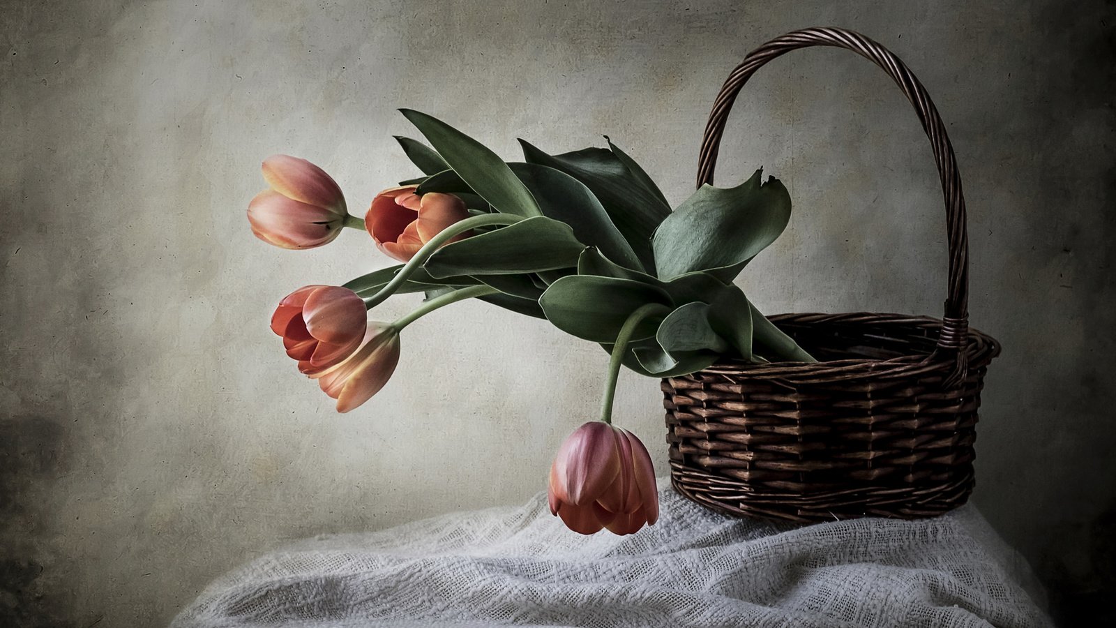 Обои стиль, корзина, тюльпаны, style, basket, tulips разрешение 2112x1188 Загрузить