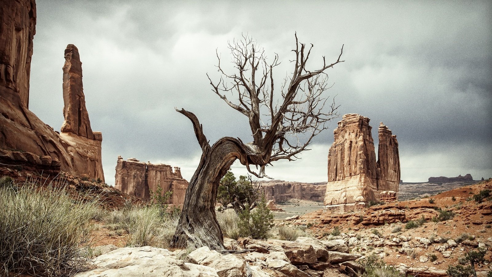 Обои скалы, природа, пейзаж, пустыня, сша, юта, rocks, nature, landscape, desert, usa, utah разрешение 2048x1188 Загрузить