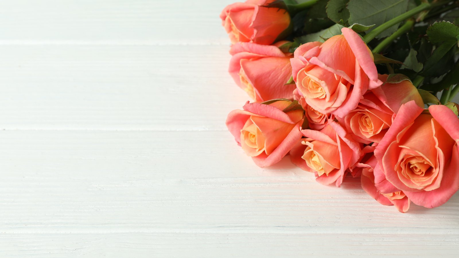 Обои цветы, бутоны, розы, лепестки, букет, красивые, flowers, buds, roses, petals, bouquet, beautiful разрешение 6720x4480 Загрузить