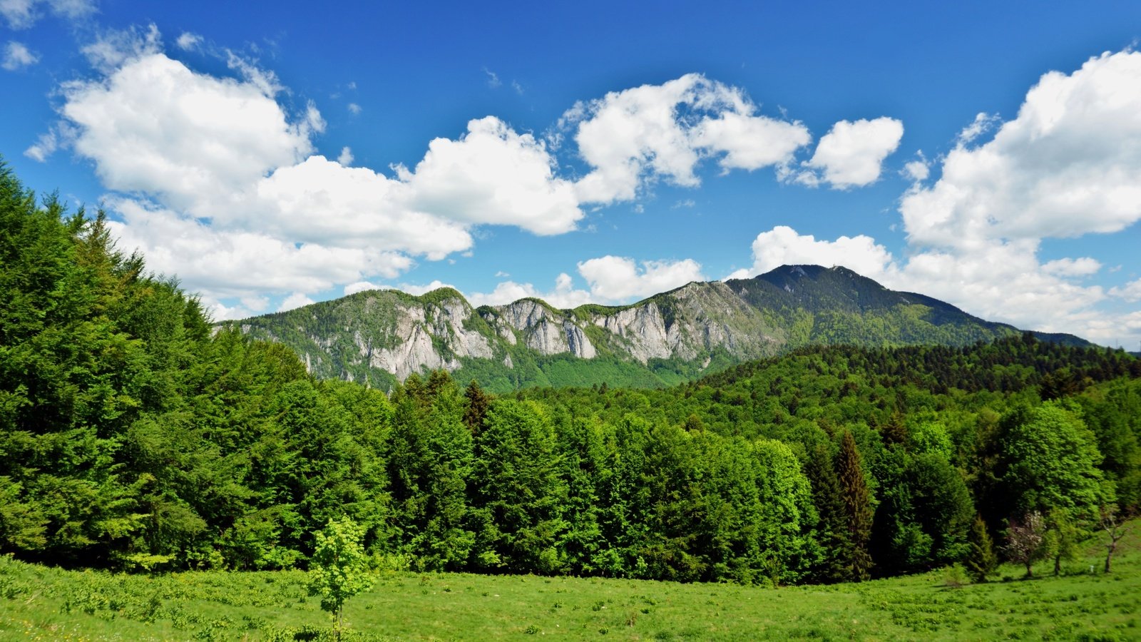 Обои небо, облака, горы, природа, лес, the sky, clouds, mountains, nature, forest разрешение 6000x3376 Загрузить