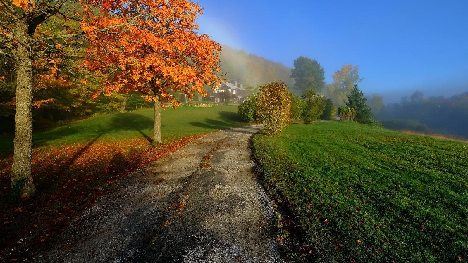 Обои дорога, деревья, природа, осень, дороги, road, trees, nature, autumn разрешение 2048x1365 Загрузить