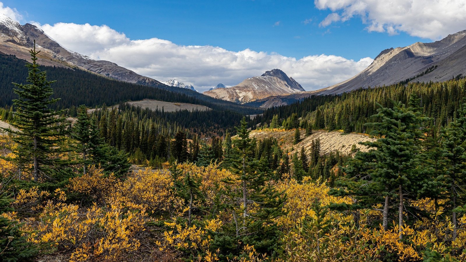 Обои облака, горы, лес, осень, вершины, ели, кустарники, clouds, mountains, forest, autumn, tops, ate, shrubs разрешение 3840x2160 Загрузить