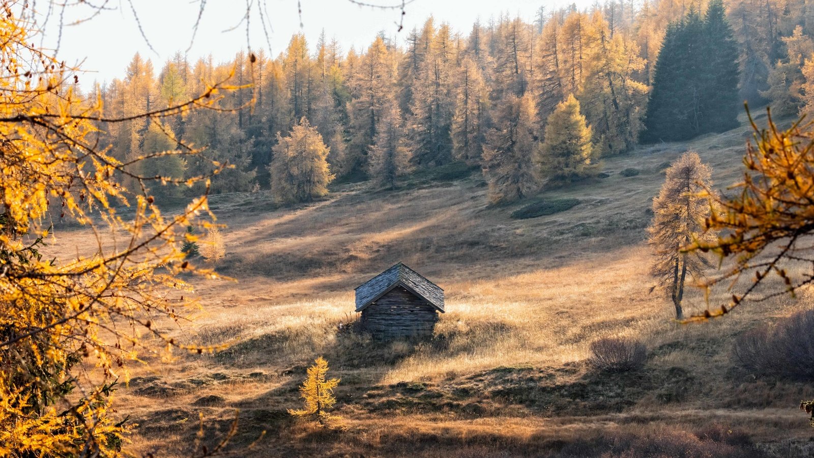 Обои природа, осень, домик, nature, autumn, house разрешение 3840x2160 Загрузить