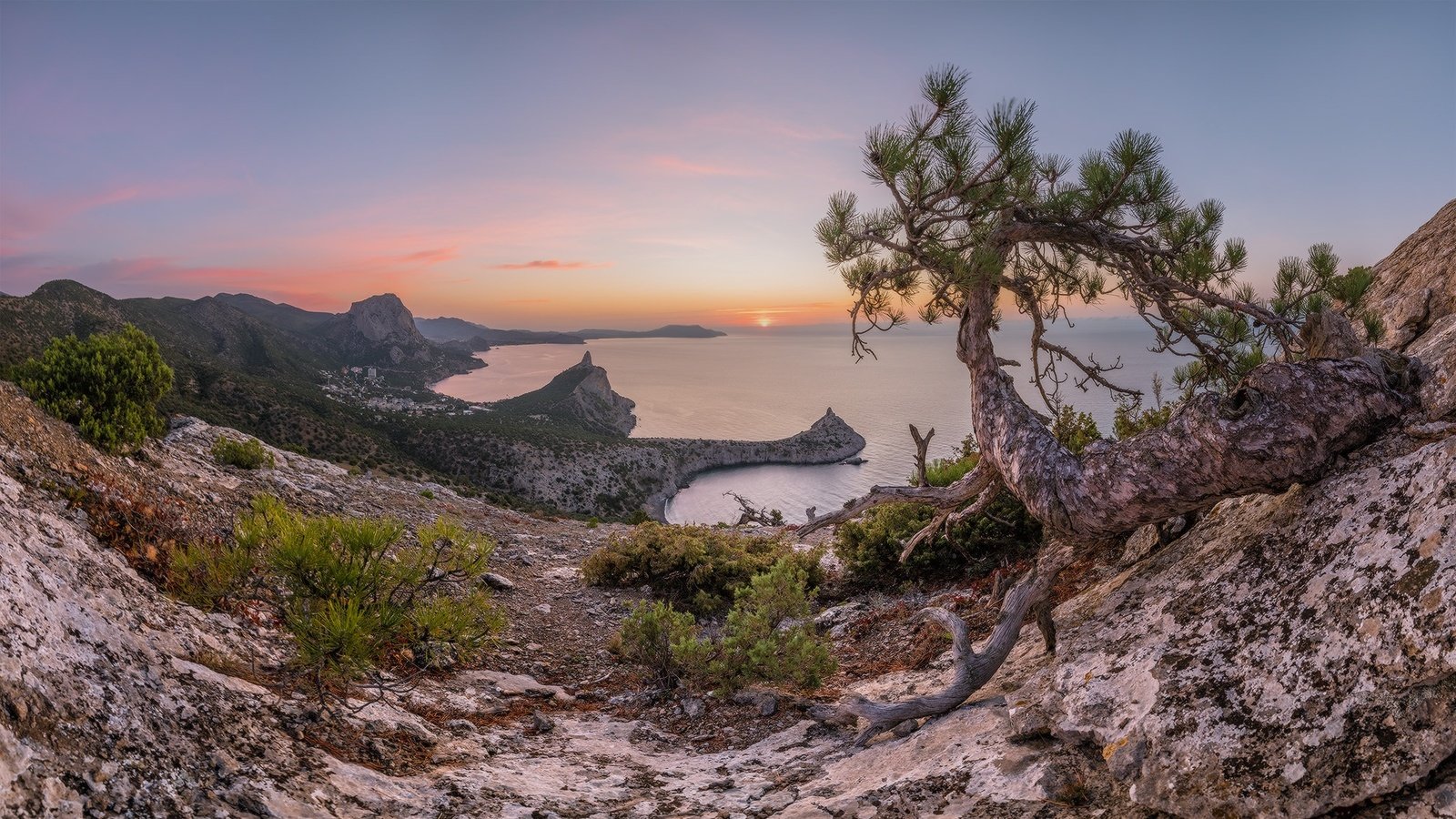 Обои скалы, крым, природа, пейзаж, море, утро, рассвет, осень, сосна, rocks, crimea, nature, landscape, sea, morning, dawn, autumn, pine разрешение 1980x1115 Загрузить