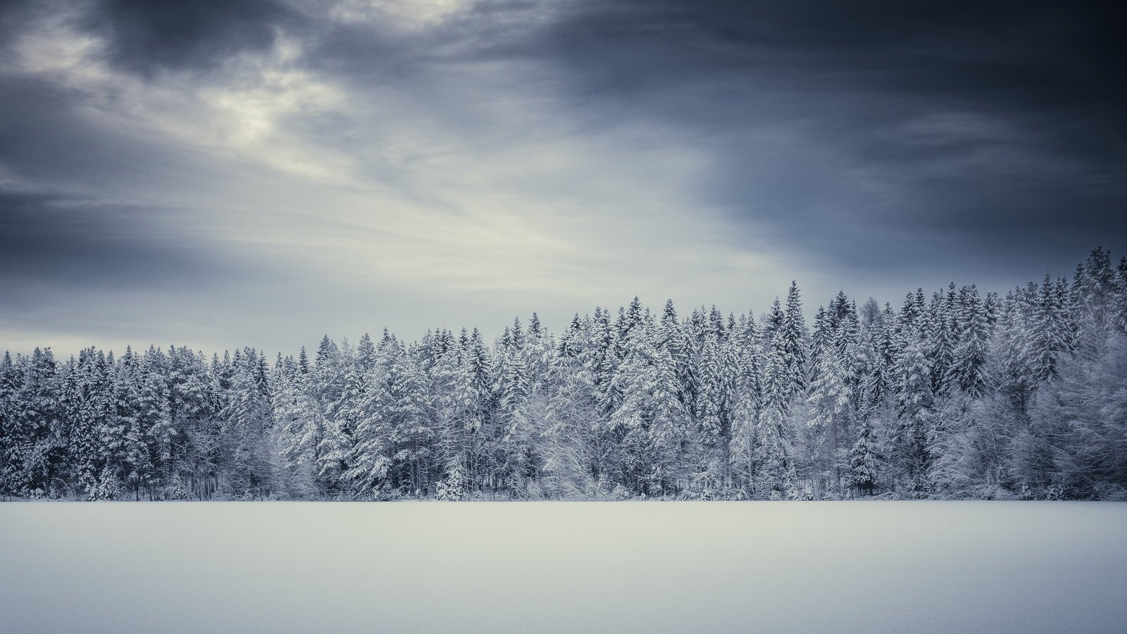 Обои снег, зима, поле, snow, winter, field разрешение 2048x1152 Загрузить