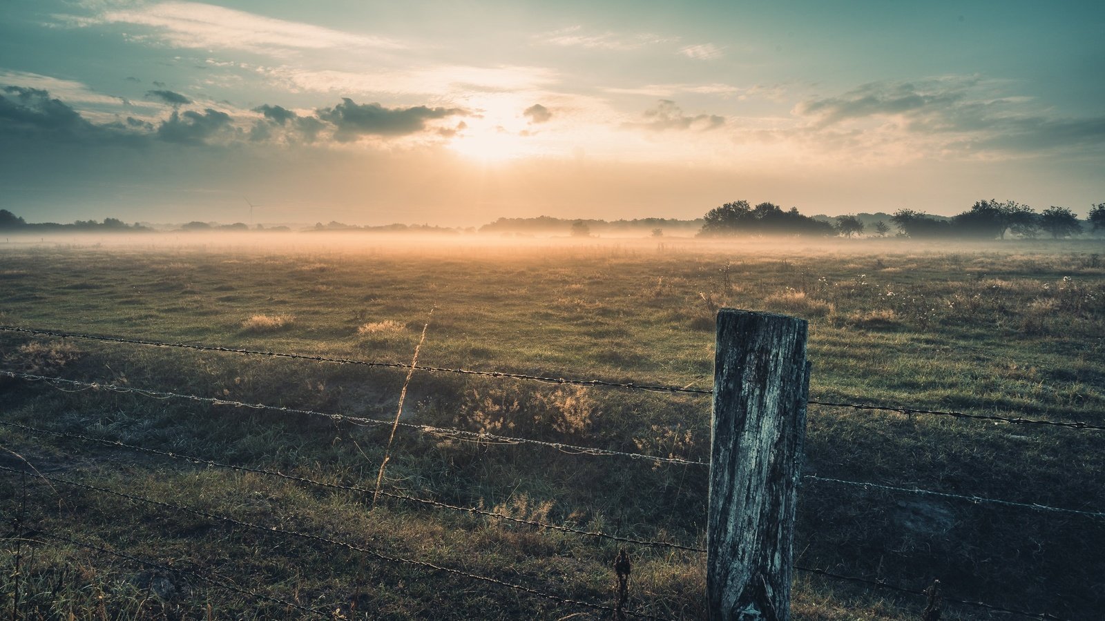 Обои утро, туман, забор, morning, fog, the fence разрешение 2048x1152 Загрузить