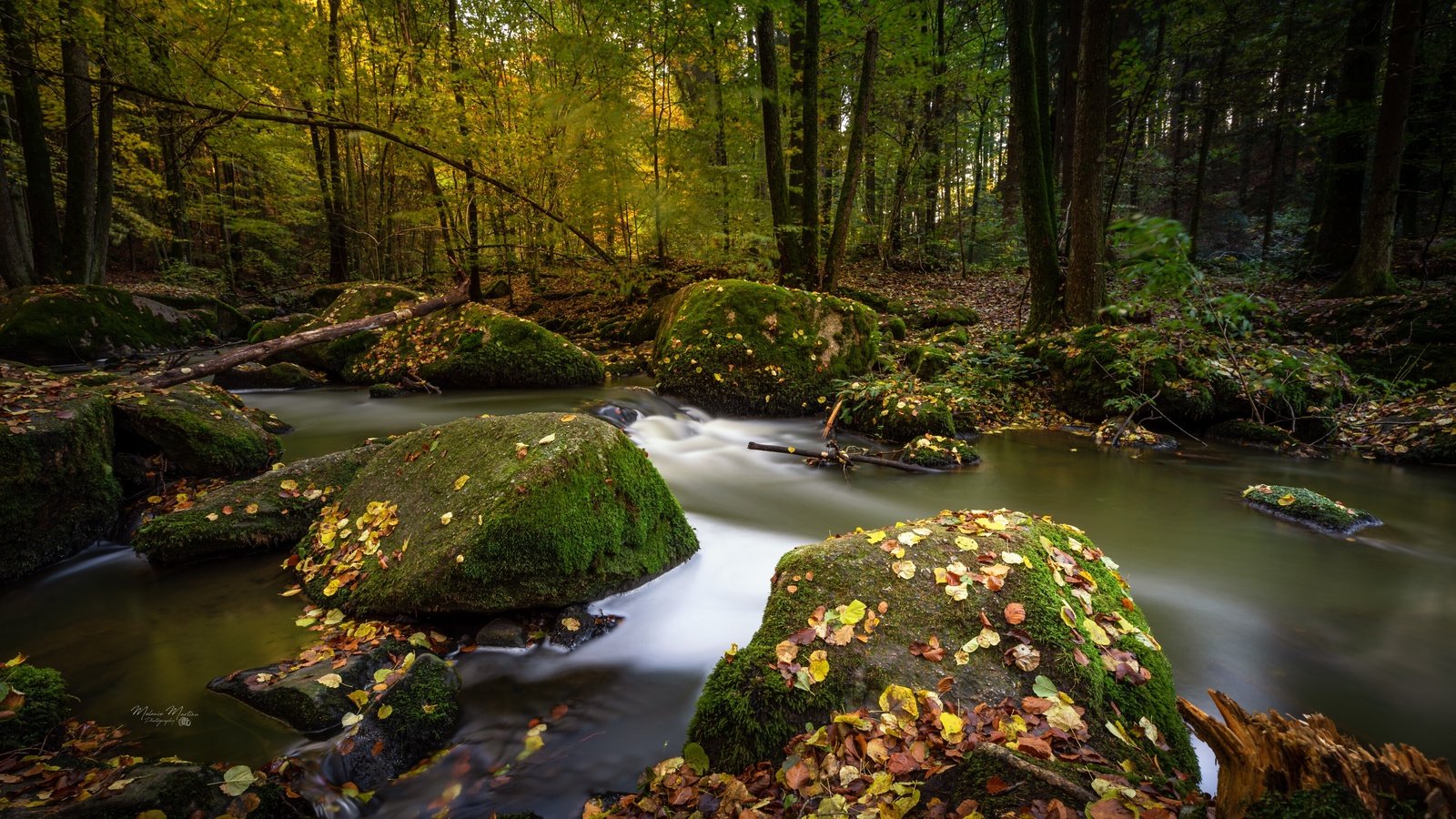 Обои деревья, мох, река, природа, камни, лес, листья, пейзаж, осень, trees, moss, river, nature, stones, forest, leaves, landscape, autumn разрешение 3360x2231 Загрузить