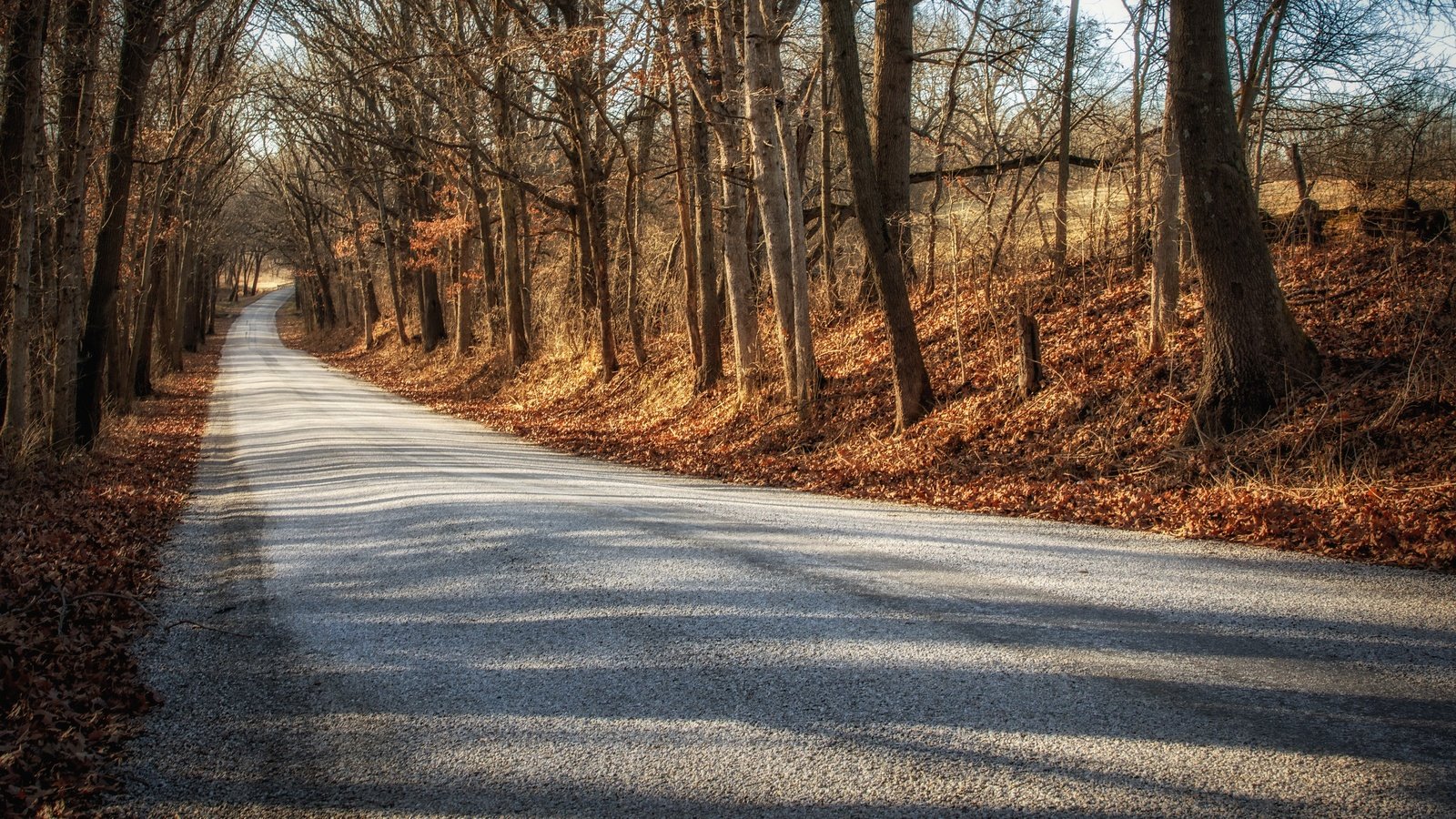 Обои дорога, деревья, осень, road, trees, autumn разрешение 3840x2160 Загрузить