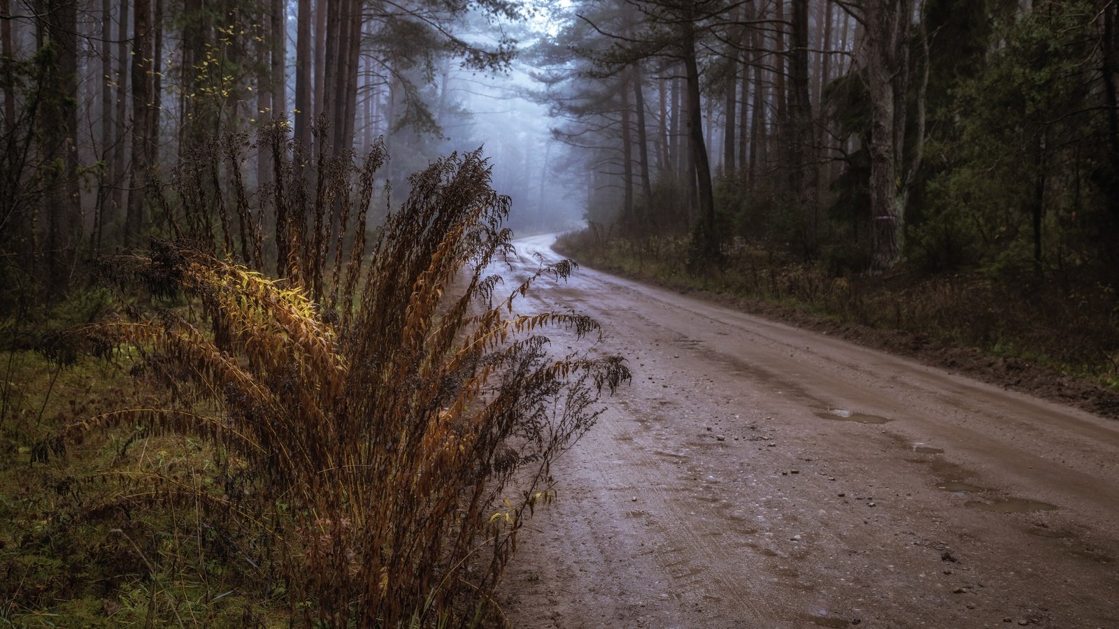 Обои дорога, осень, road, autumn разрешение 3840x2160 Загрузить