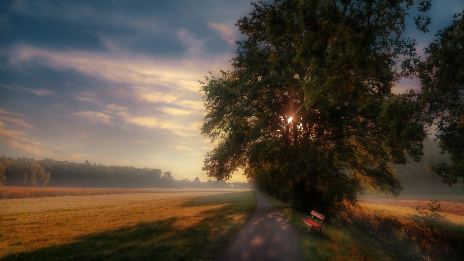 Обои дорога, утро, туман, скамья, road, morning, fog, bench разрешение 3840x2160 Загрузить