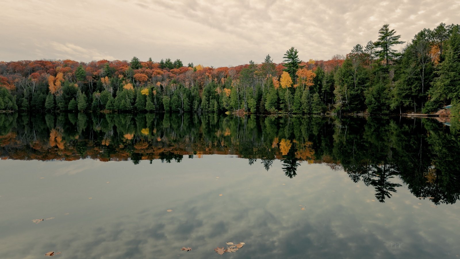 Обои озеро, лес, lake, forest разрешение 3840x2160 Загрузить