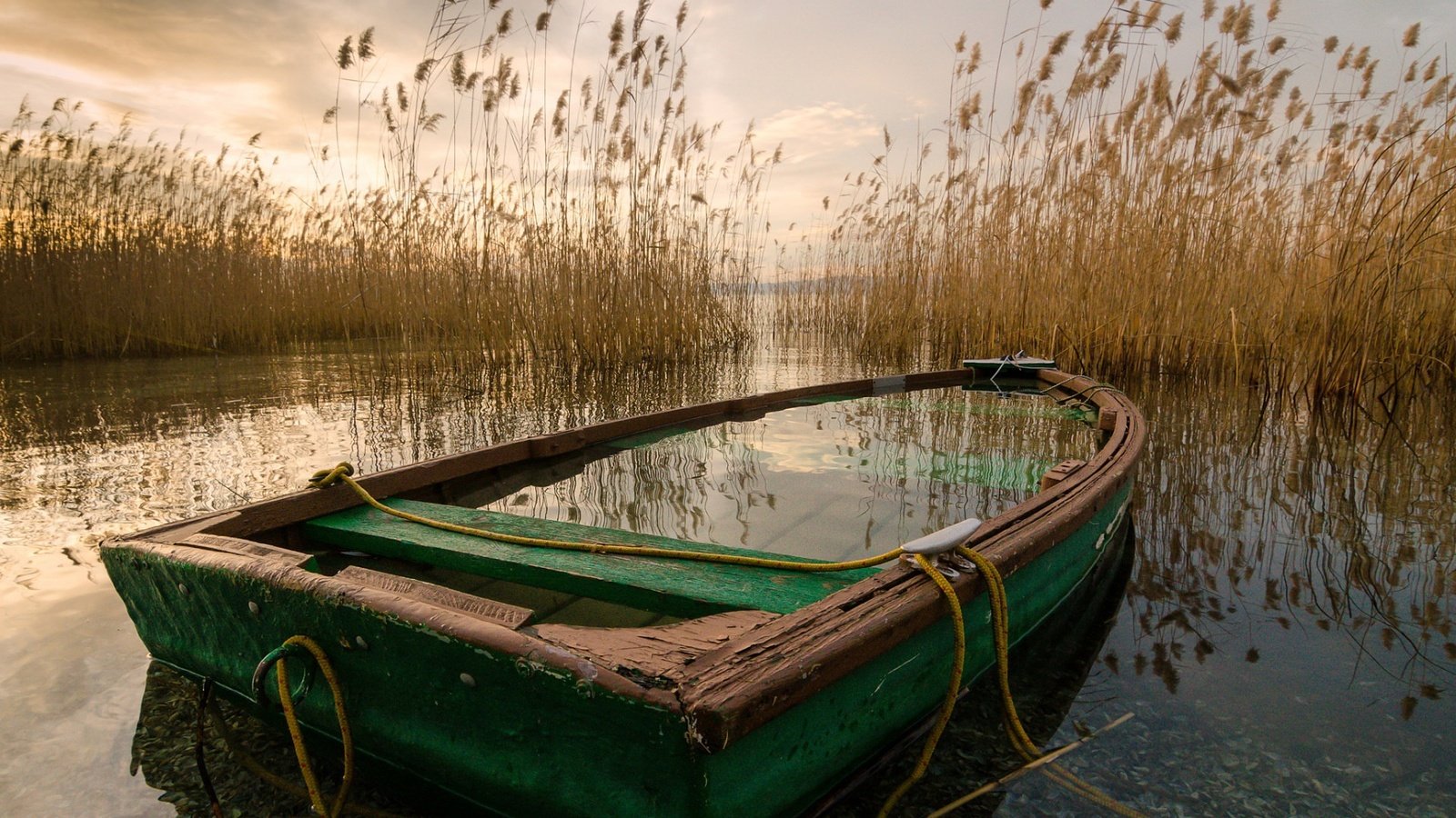 Обои озеро, лодка, камыш, lake, boat, reed разрешение 1920x1300 Загрузить