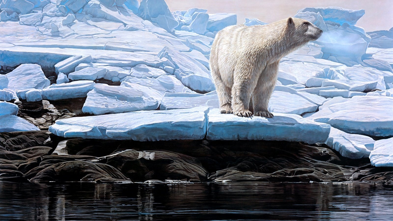 Обои зима, льдины, белый медведь, winter, ice, polar bear разрешение 3970x2431 Загрузить