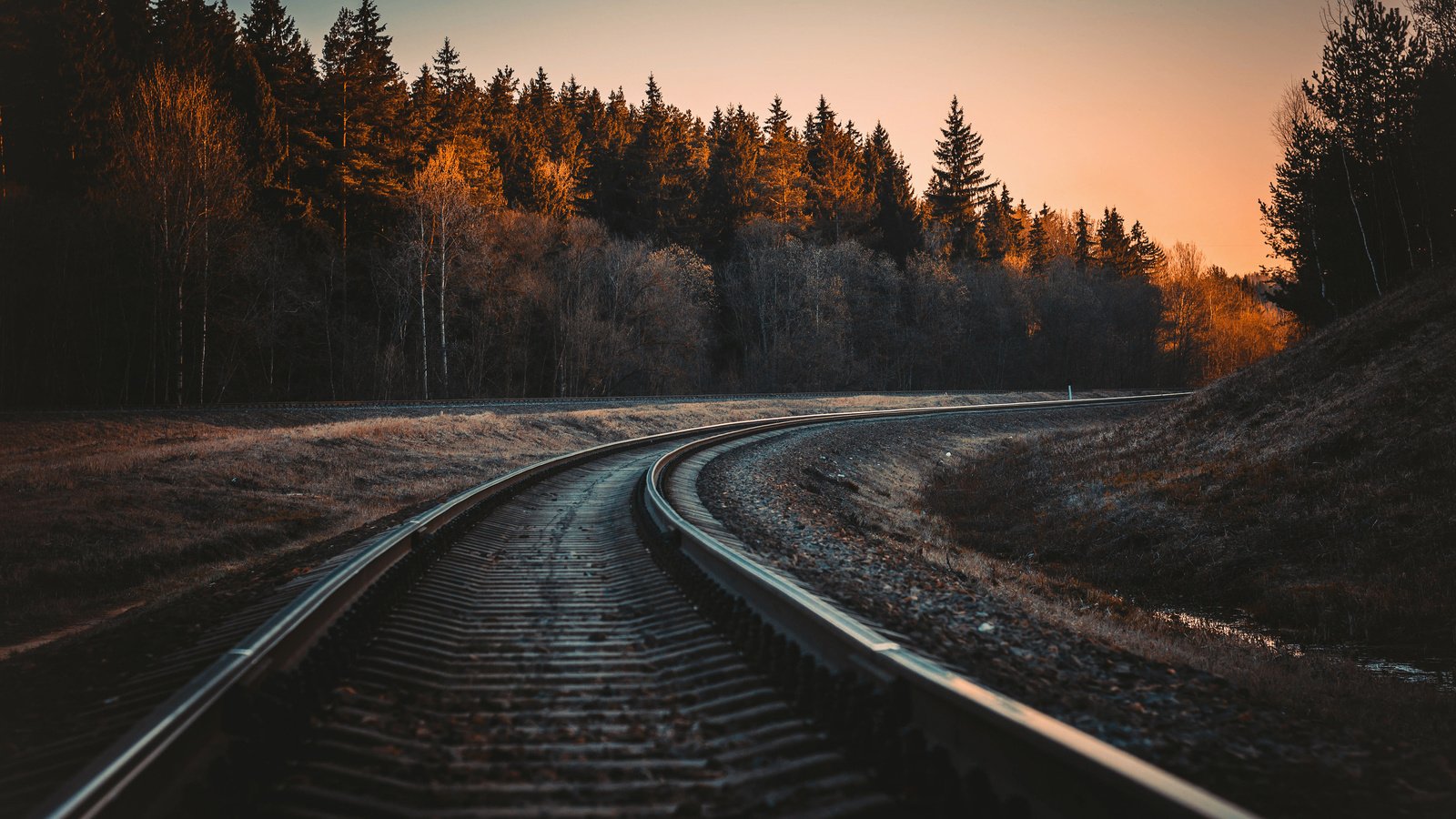 Обои железная дорога, рельсы, лес, осень, railroad, rails, forest, autumn разрешение 3840x2400 Загрузить