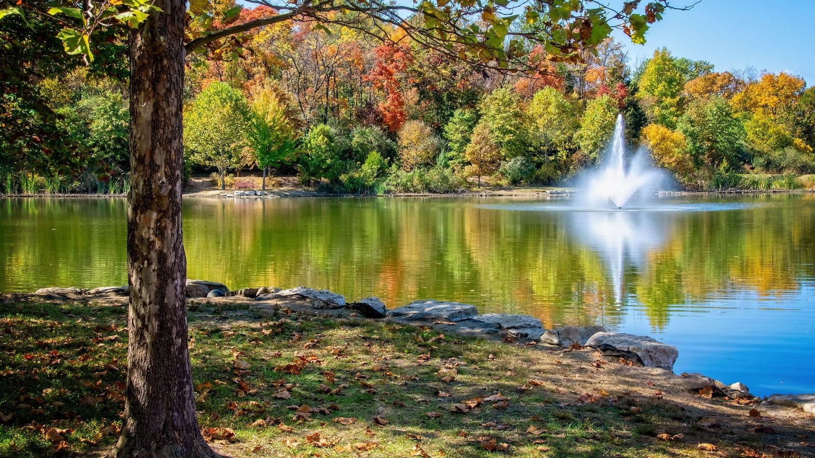 Обои деревья, парк, осень, фонтан, пруд, центральный парк, миссури, trees, park, autumn, fountain, pond, central park, missouri разрешение 4800x3200 Загрузить