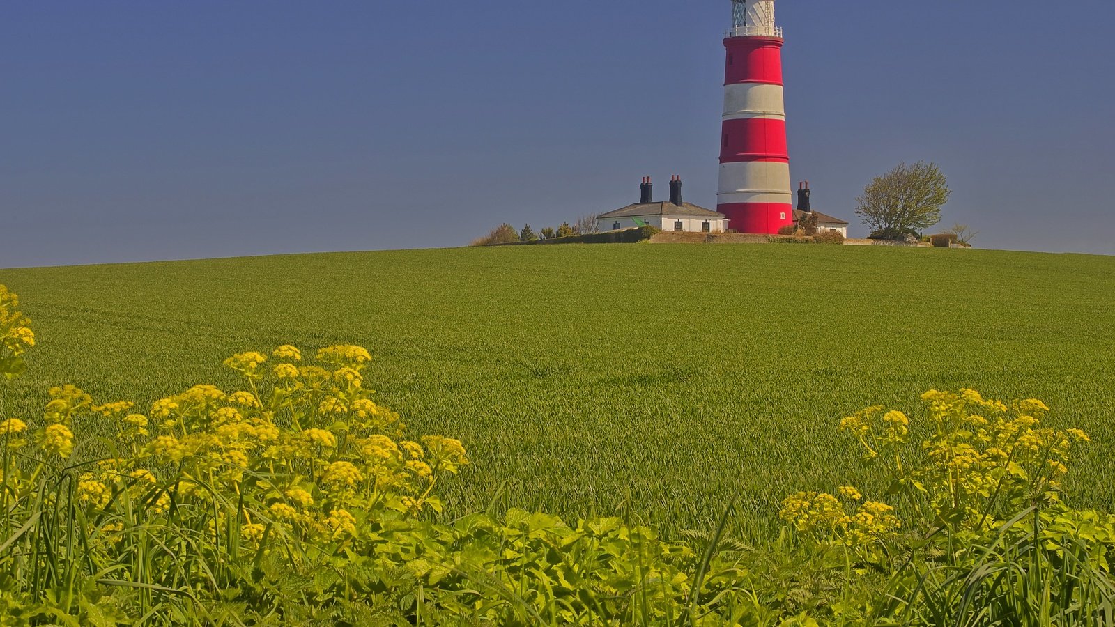 Обои поле, маяк, дом, англия, field, lighthouse, house, england разрешение 3072x2048 Загрузить