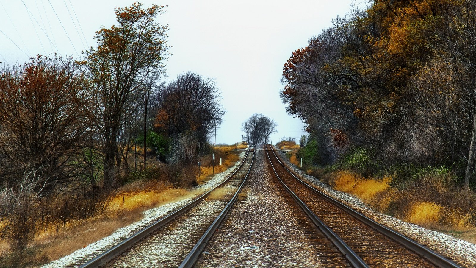 Обои железная дорога, природа, осень, railroad, nature, autumn разрешение 3840x2160 Загрузить