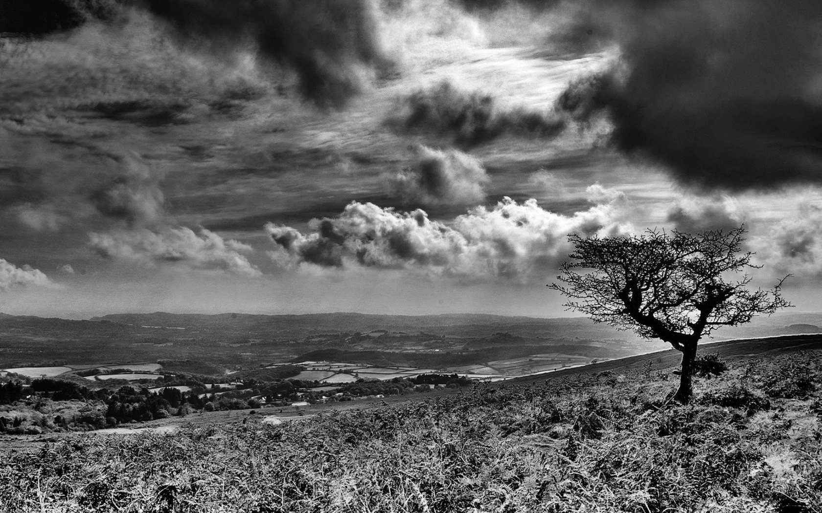 Обои облака, дерево, черно-белая, clouds, tree, black and white разрешение 1920x1440 Загрузить