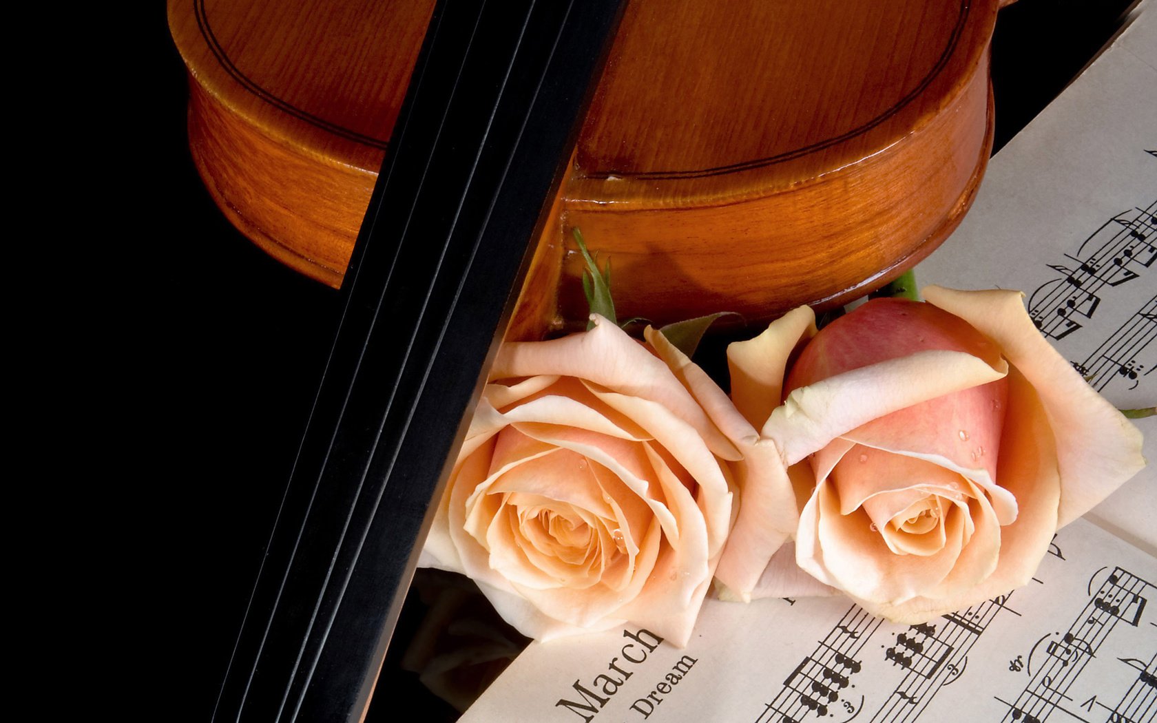 Обои розы, ноты, скрипка, музыка, красота, roses, notes, violin, music, beauty разрешение 2560x1600 Загрузить