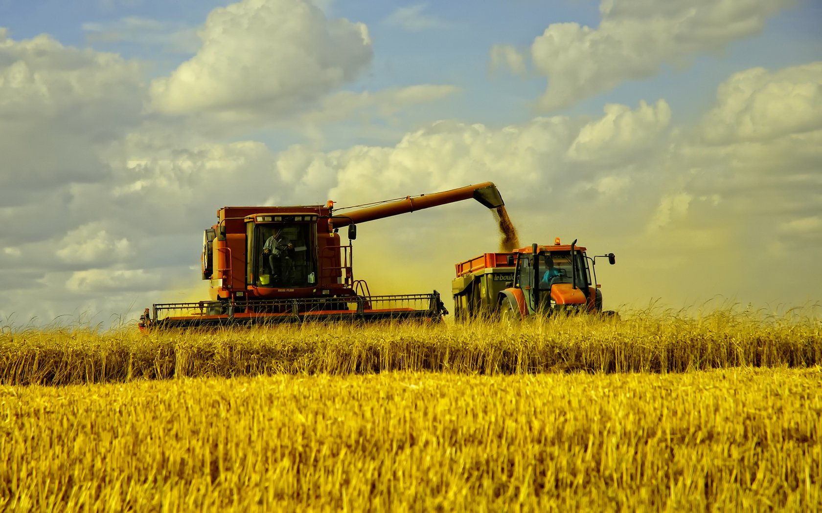 Обои трава, пейзаж, поле, сено, пшеница, машины, fields, осен, сбор урожая, the harvest, grass, landscape, field, hay, wheat, machine, autumn разрешение 1920x1200 Загрузить