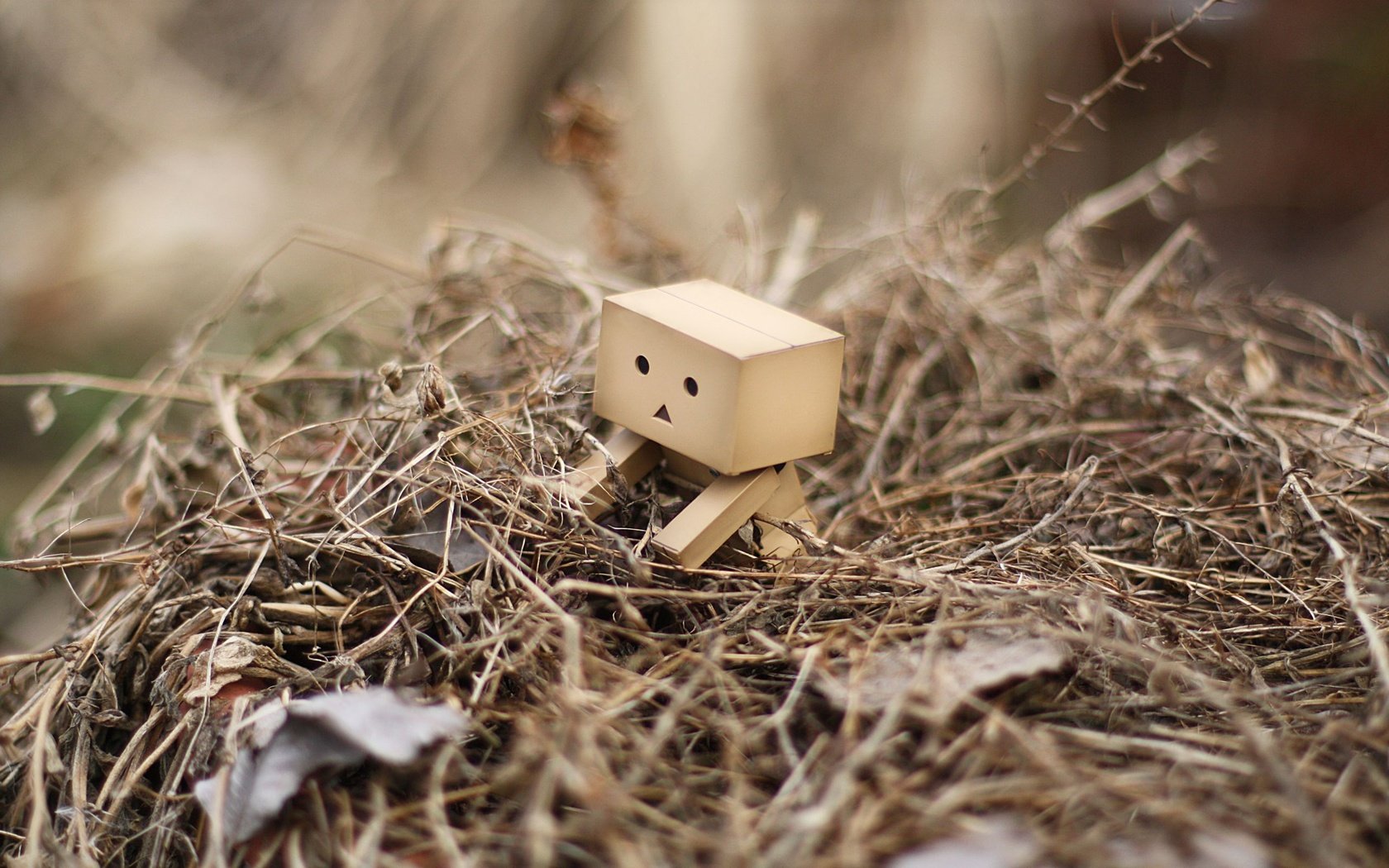 Обои трава, листья, робот, куча, данбо, дамбо, grass, leaves, robot, a bunch, danbo, dumbo разрешение 2560x1600 Загрузить