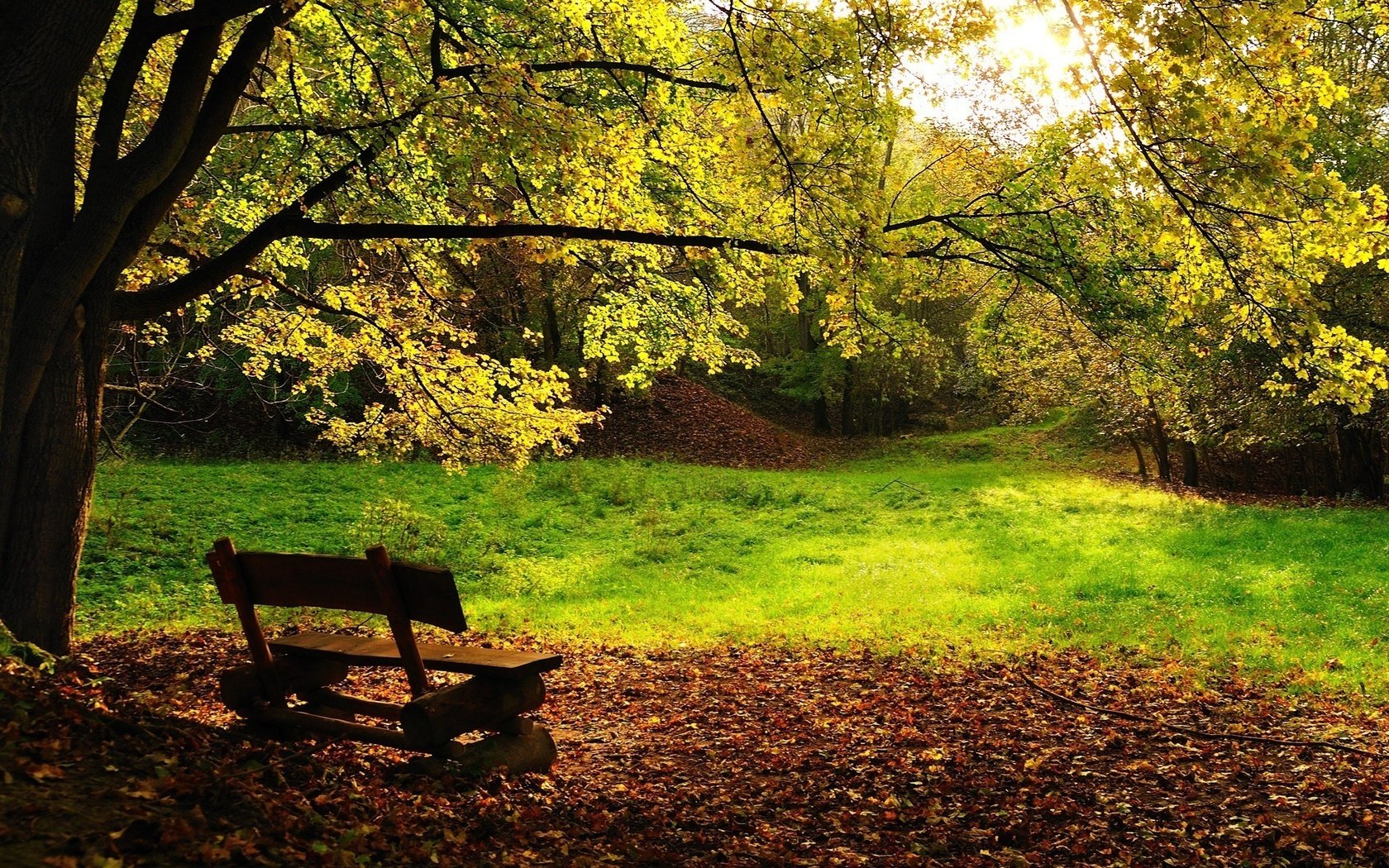 Обои деревья, листва, осень, скамейка, trees, foliage, autumn, bench разрешение 1920x1200 Загрузить