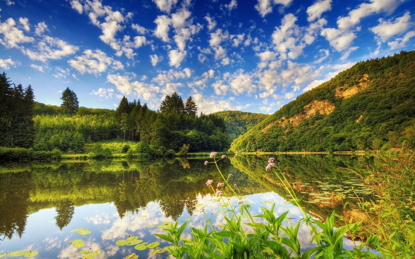 Обои облака, деревья, вода, озеро, лес, отражение, кувшинки, clouds, trees, water, lake, forest, reflection, water lilies разрешение 1920x1200 Загрузить