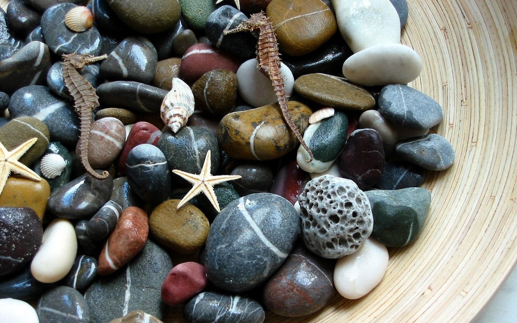 Обои камни, макро, морские, stones, macro, sea разрешение 1920x1200 Загрузить