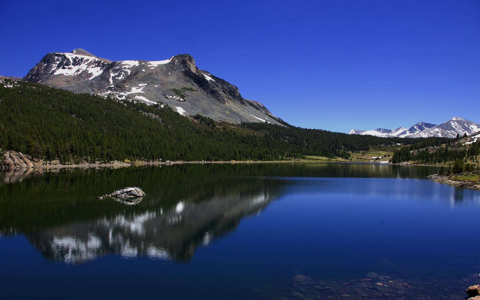 Обои небо, йосемити, облака, озеро тиога, tioga lake, деревья, озеро, горы, лес, лето, калифорния, the sky, yosemite, clouds, trees, lake, mountains, forest, summer, ca разрешение 1920x1080 Загрузить