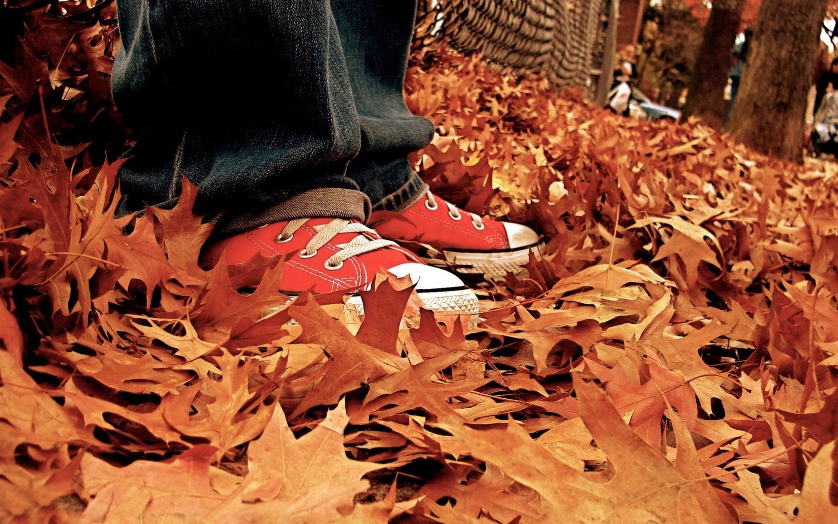 Обои листья, осень, кеды, джинсы, ноги, listya, osen, kedy, осенние листья, leaves, autumn, sneakers, jeans, feet, autumn leaves разрешение 1920x1440 Загрузить