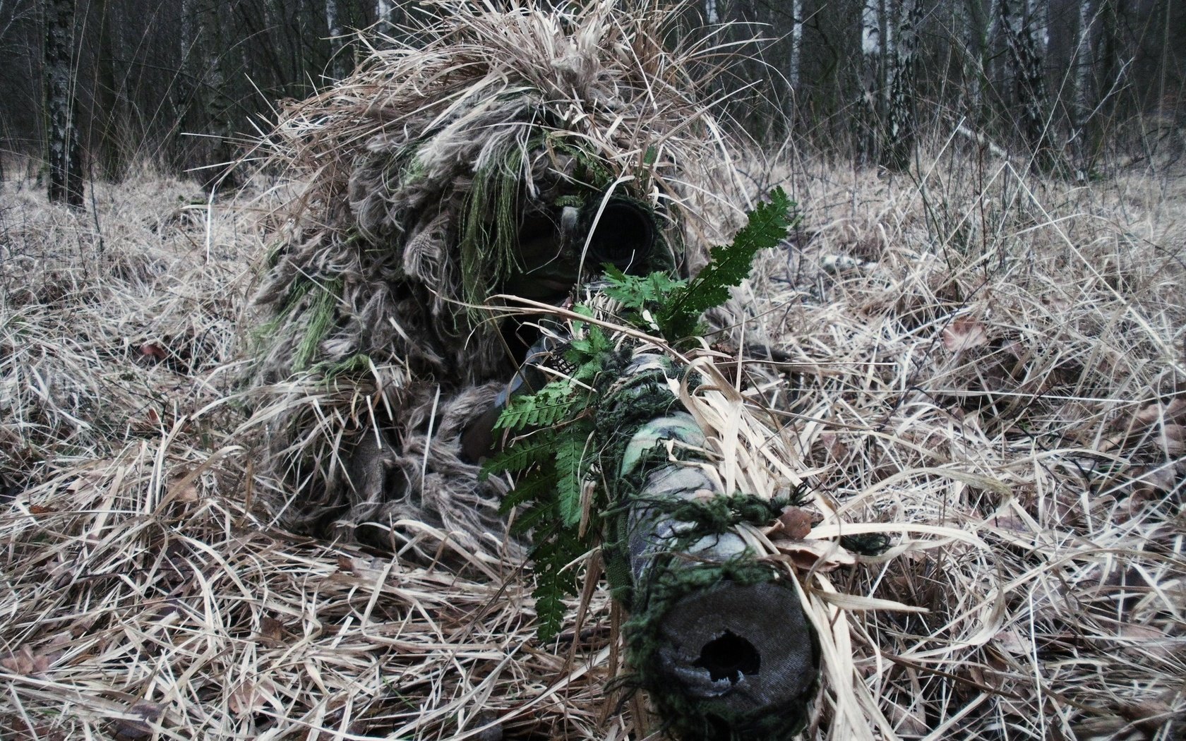 Обои снайпер, винтовка, прицел, оптика, камуфляж, sniper, rifle, sight, optics, camouflage разрешение 3648x2736 Загрузить