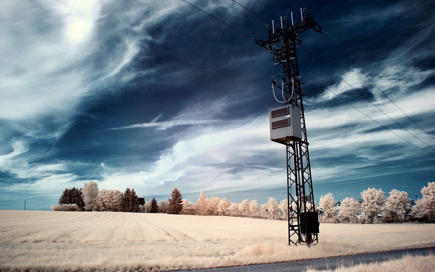 Обои небо, деревья, провода, поле, столб, the sky, trees, wire, field, post разрешение 2560x1600 Загрузить