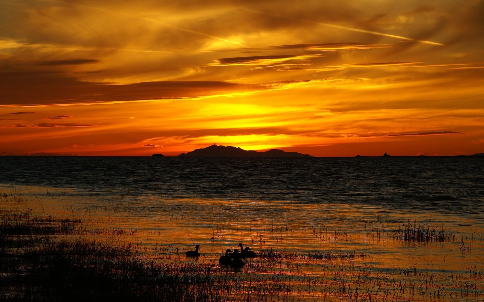 Обои небо, трава, облака, озеро, природа, закат, пейзаж, птицы, the sky, grass, clouds, lake, nature, sunset, landscape, birds разрешение 1920x1200 Загрузить