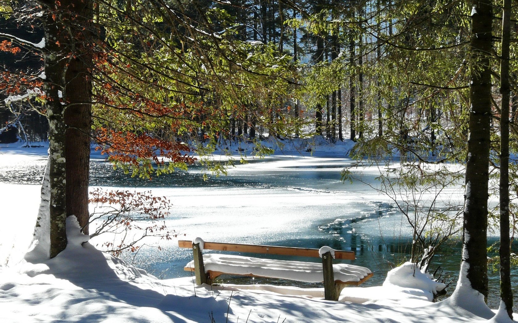 Обои деревья, река, снег, зима, холод, скамейка, романтик, trees, river, snow, winter, cold, bench, romantic разрешение 1920x1200 Загрузить