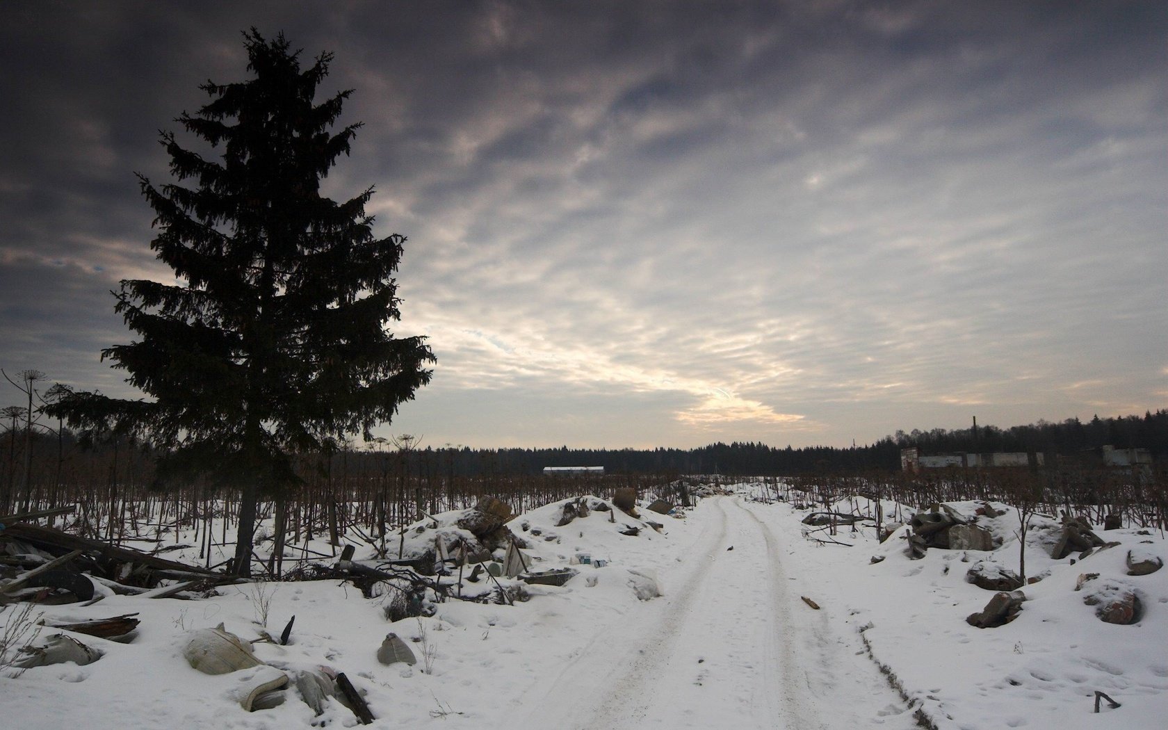 Обои небо, дорога, дерево, зима, грусть, мусор, the sky, road, tree, winter, sadness, garbage разрешение 1920x1200 Загрузить