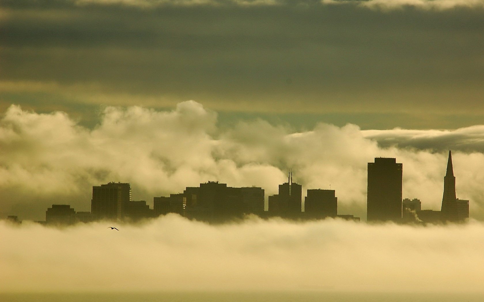 Обои туман, чайка, здания, fog, seagull, building разрешение 1920x1440 Загрузить