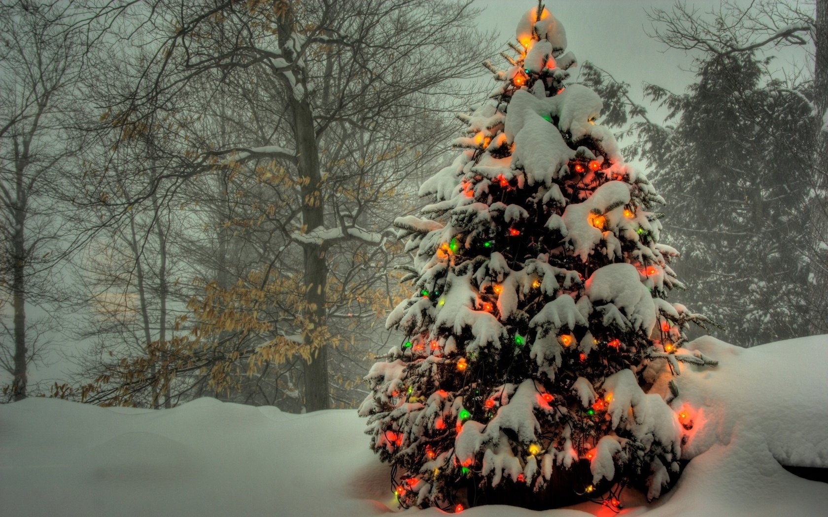 Обои огни, снег, елка, гирлянды, цветные, зимний.лес, lights, snow, tree, garland, colored, winter.forest разрешение 2560x1600 Загрузить