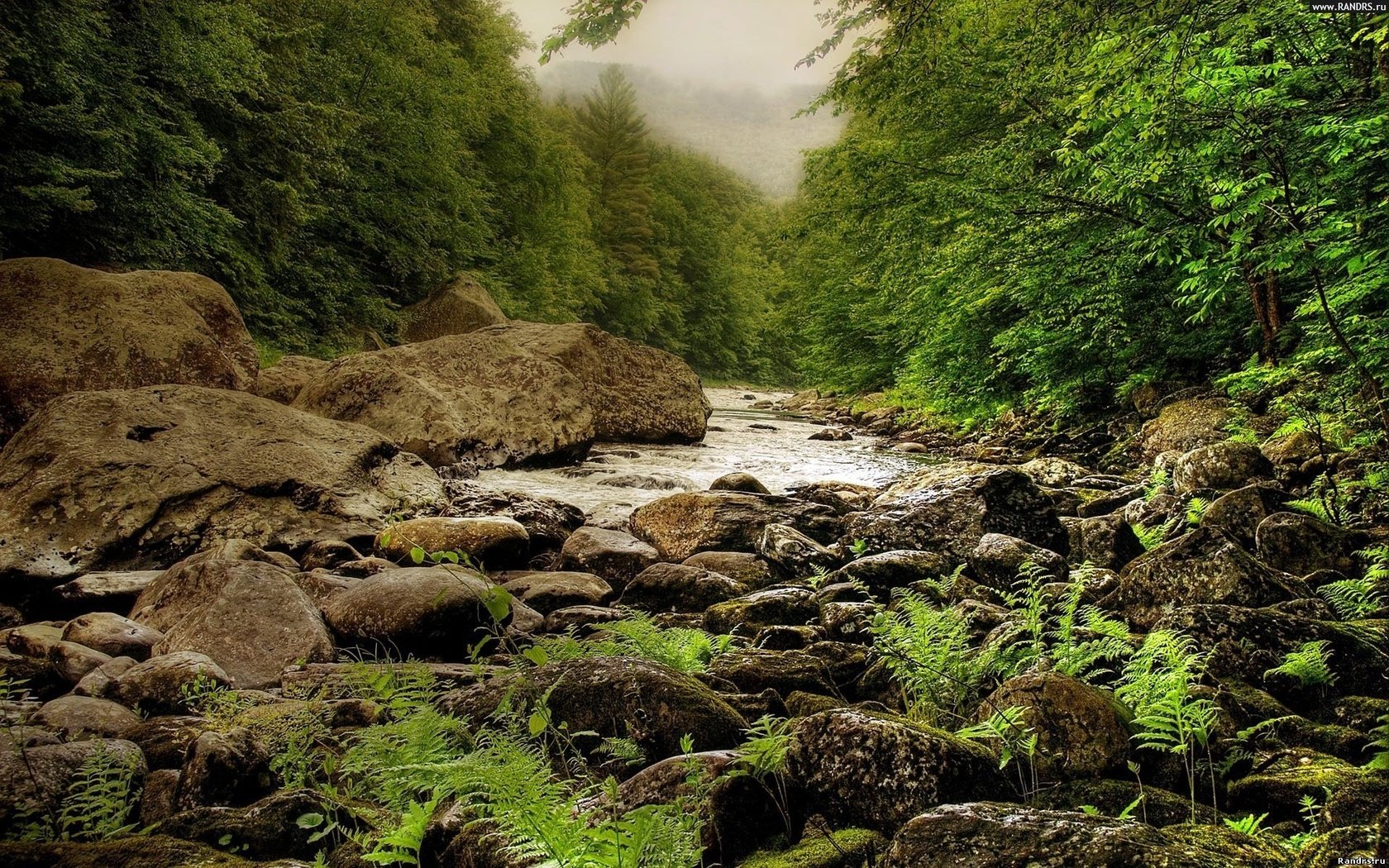 Обои деревья, камни, речка, trees, stones, river разрешение 1920x1200 Загрузить