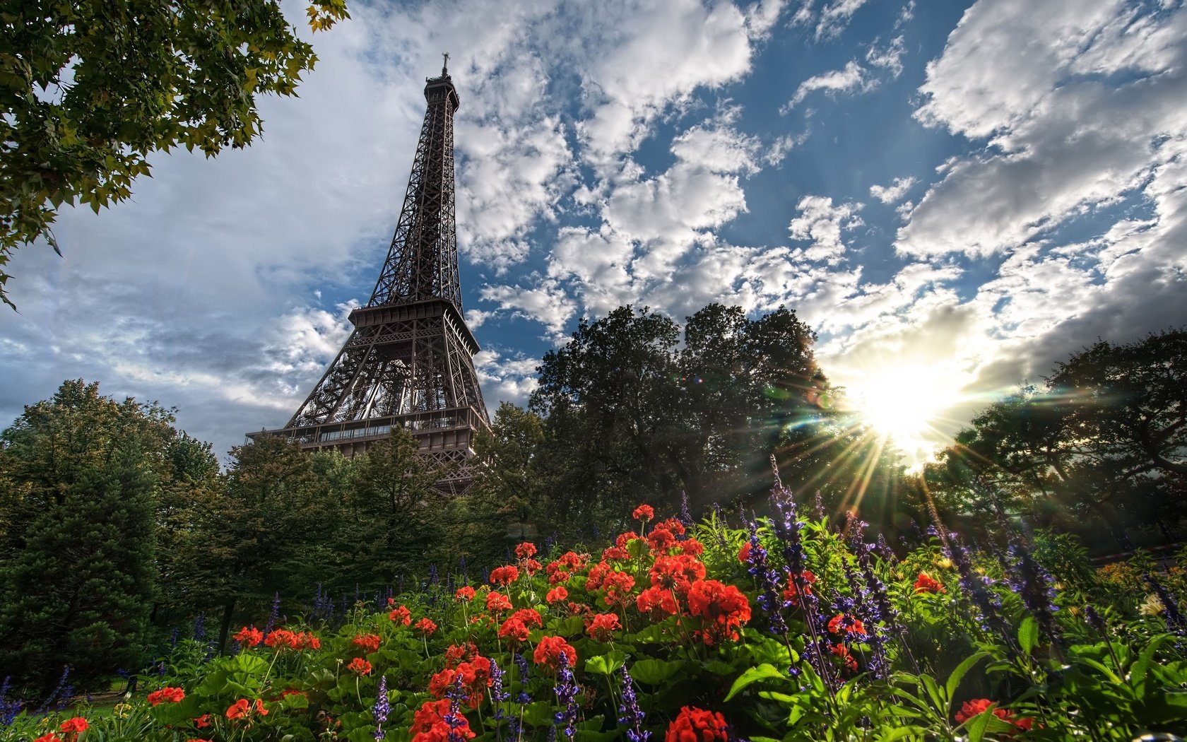 Обои цветы, деревья, солнце, париж, эйфелева башня, flowers, trees, the sun, paris, eiffel tower разрешение 4928x3352 Загрузить