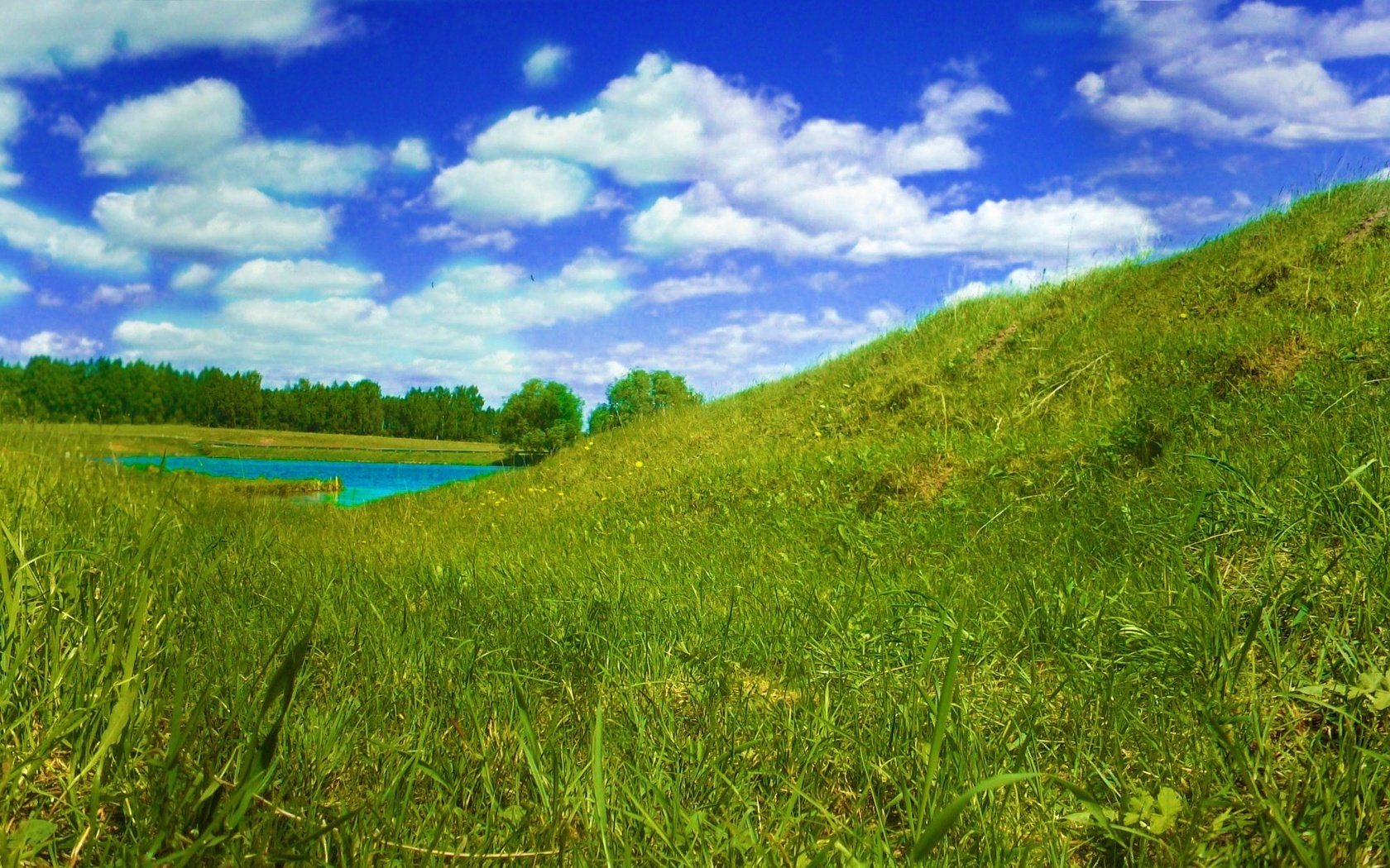 Обои небо, село, трава, река, лес, лето, панорама, бабочка, птицы, the sky, village, grass, river, forest, summer, panorama, butterfly, birds разрешение 5024x1360 Загрузить