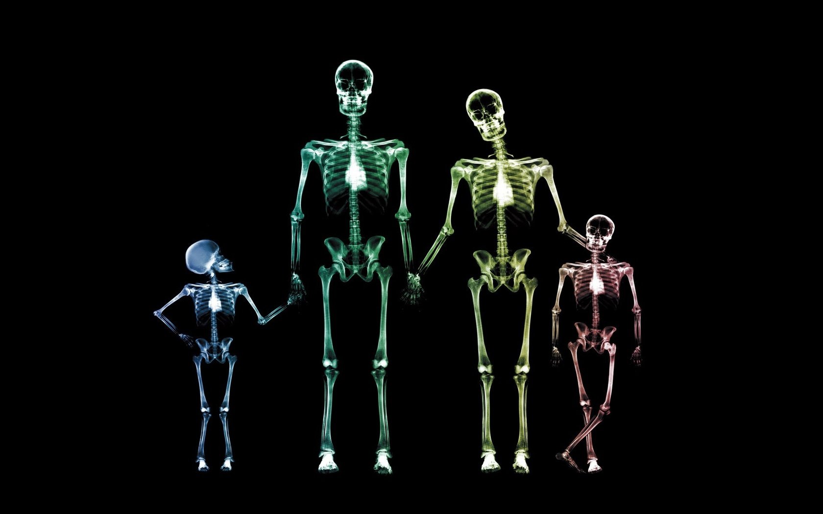 Обои семья, рентген, скелет, family, x-ray, skeleton разрешение 1920x1200 Загрузить