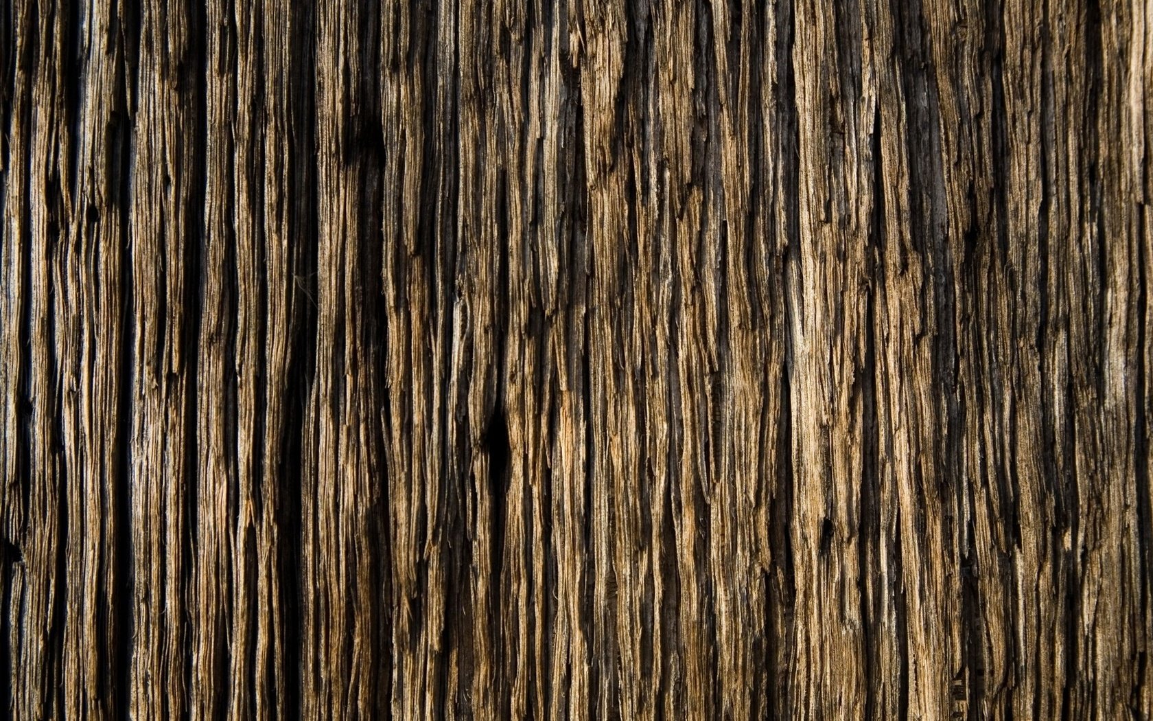 Обои дерево, доска, древесина, текстур, tree, board, wood, textures разрешение 1920x1080 Загрузить